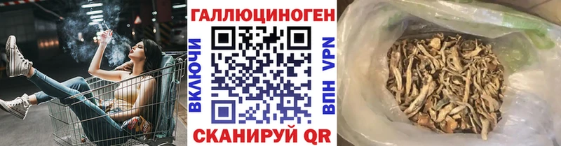 Псилоцибиновые грибы Psilocybine cubensis Коряжма