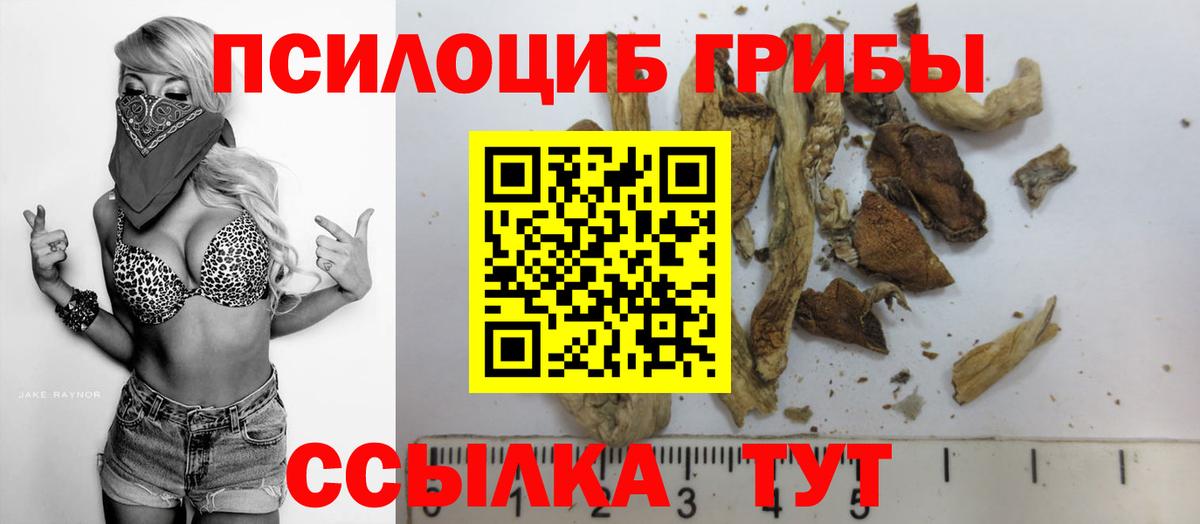Галлюциногенные грибы MAGIC MUSHROOMS Коряжма